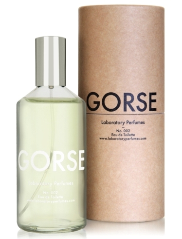 GORSE perfume