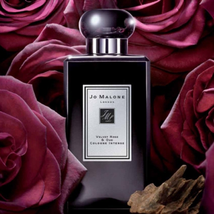500xVelvet-Rose